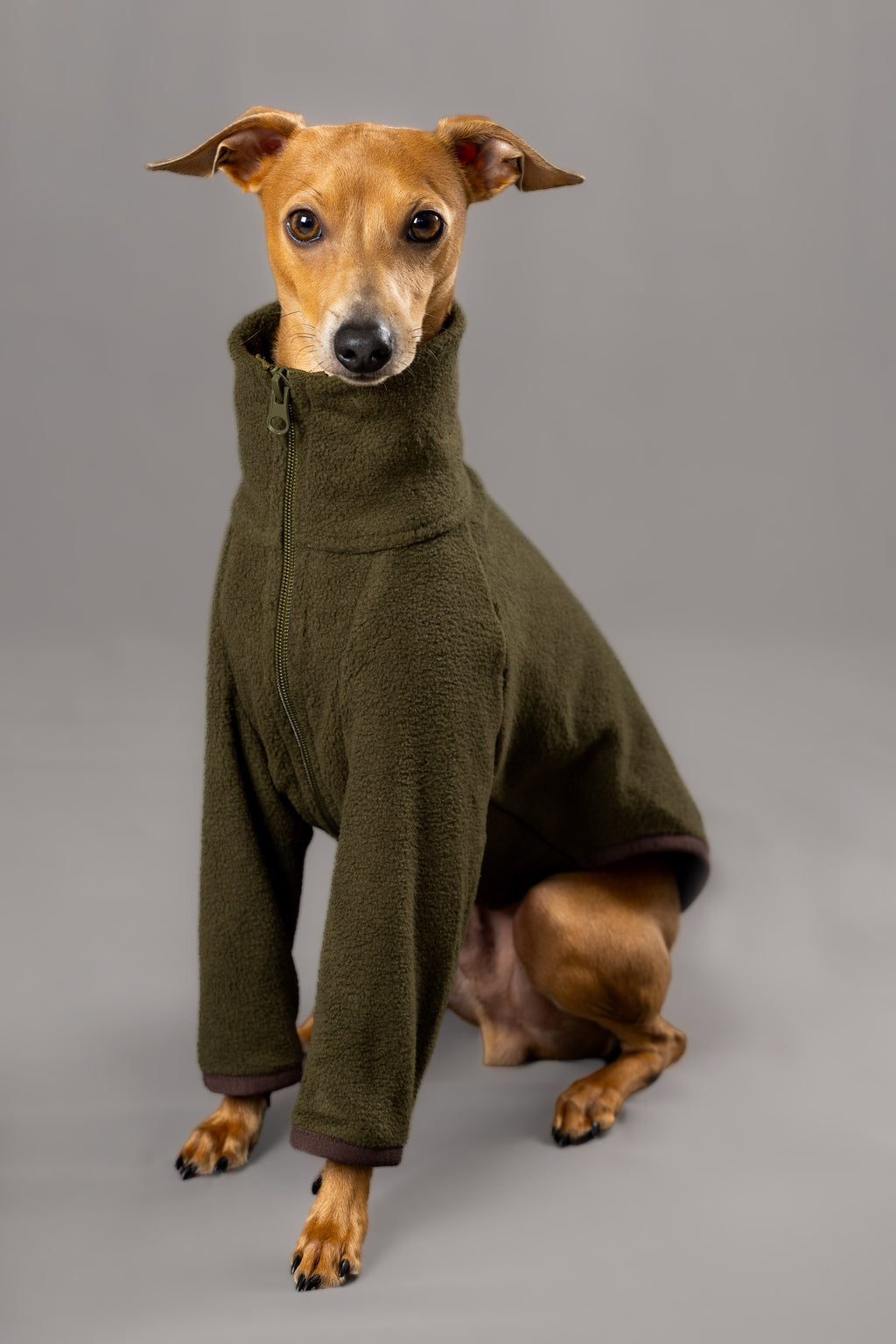 Lucky Bamboo Jumper