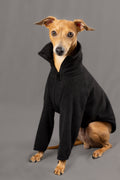 Night Sky Jumper