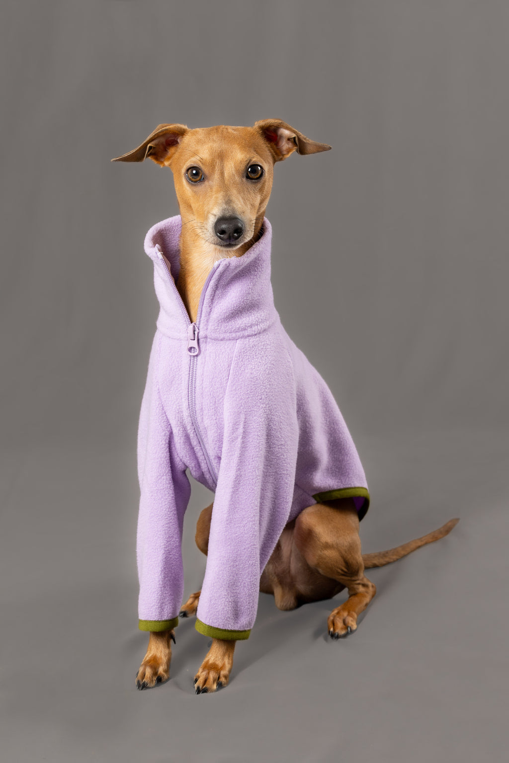 Bluebell Jumper