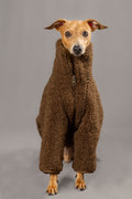 Super Teddy