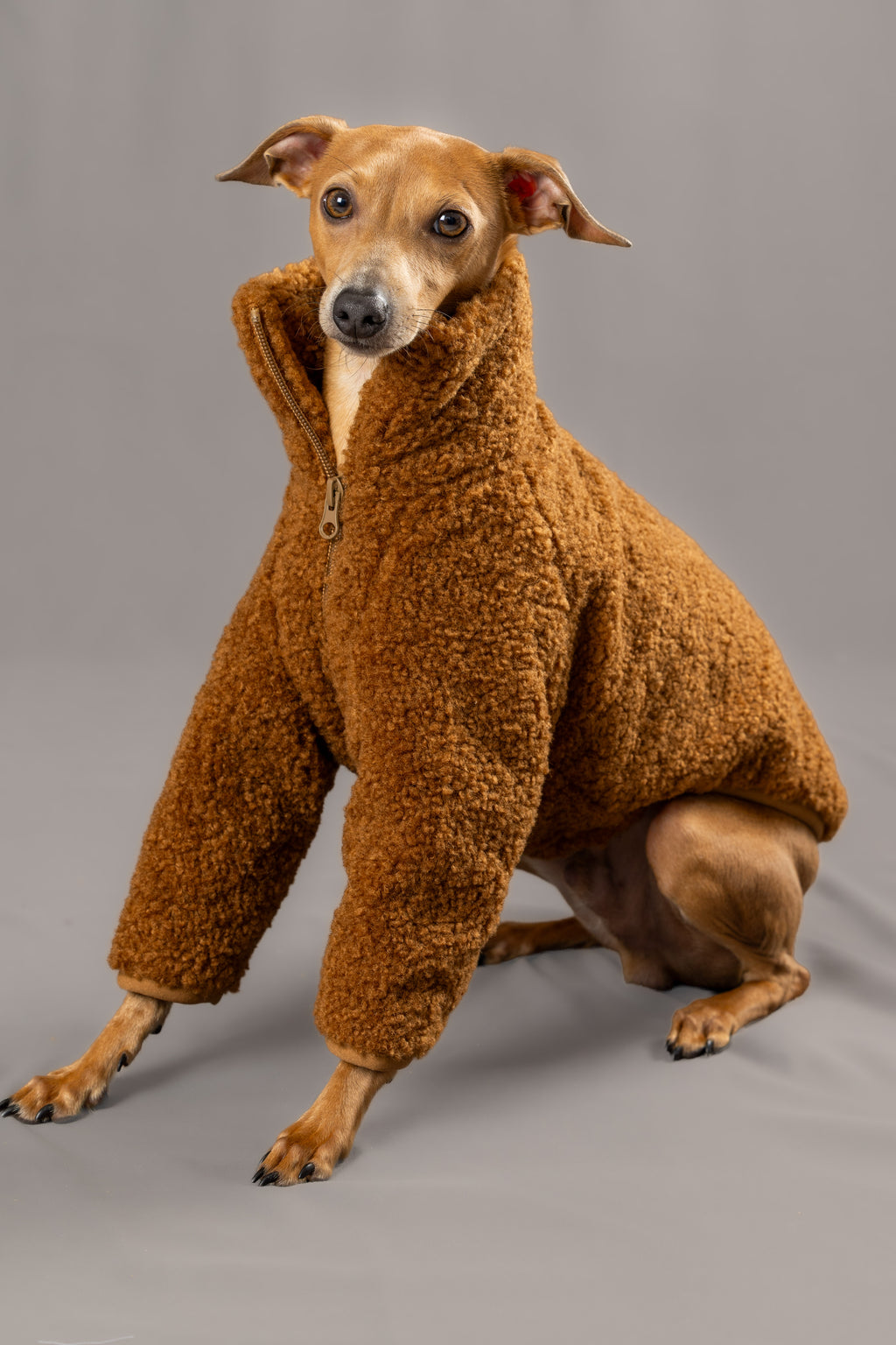 Teddy Bear