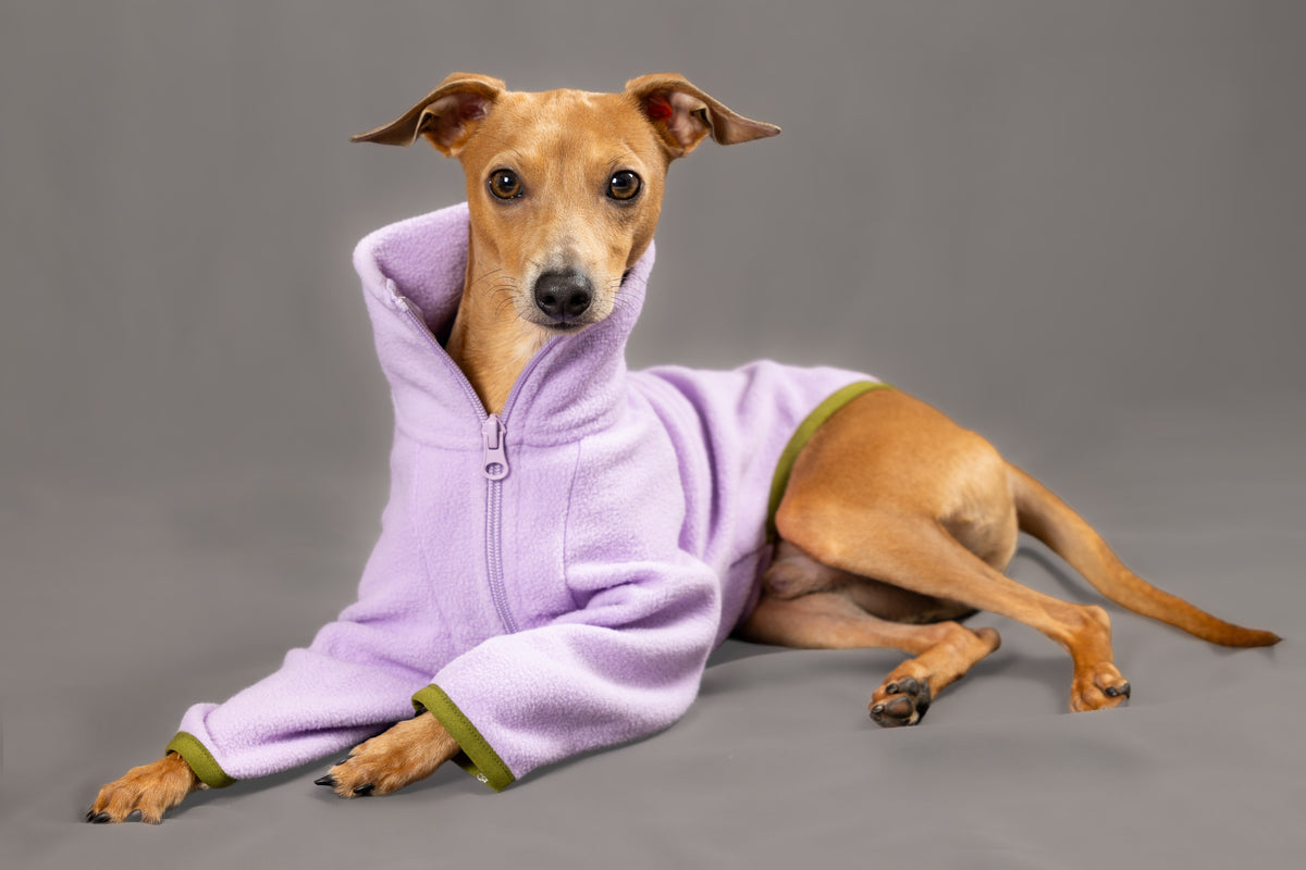 Bluebell Jumper