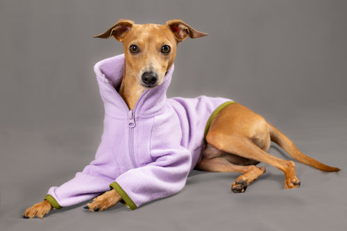 Bluebell Jumper