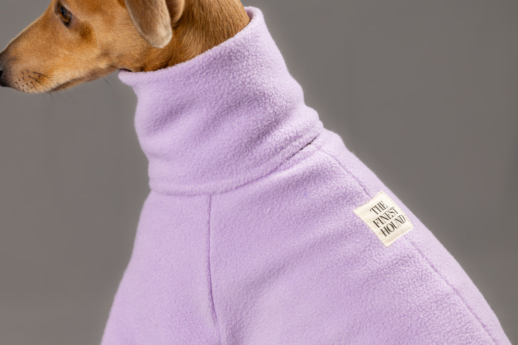 Bluebell Jumper